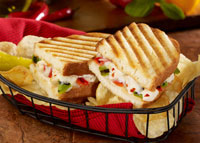 Chipotle Chicken Panini Sandwiches